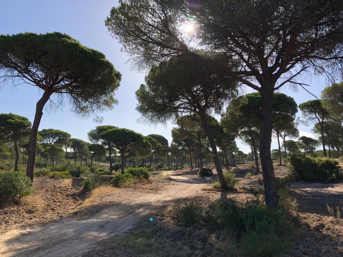 Holiday House With Private Pool, Costa De La Luz El Portil Esterno foto